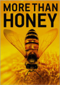 More Than Honey