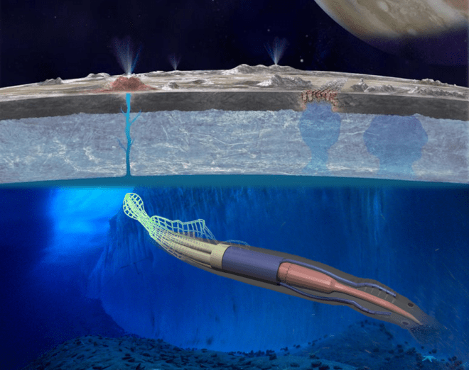This artist's rendering depicts 2015 NIAC Phase I Fellow Mason Peck's soft-robotic rover for planetary environments for missions that cannot be accomplished with conventional power systems. It resembles a squid, with tentacle-like structures that serve as electrodynamic 'power scavengers' to harvest power from locally changing magnetic fields. The goal is to enable amphibious exploration of gas-giant moons like Europa. Credits: NASA/Cornell University/NSF