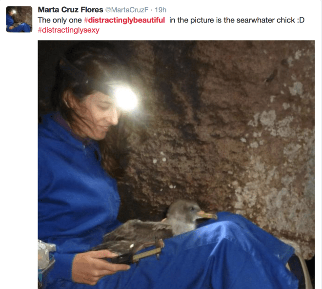 Screen Shot 2015-06-13 at 11.42.48 AM