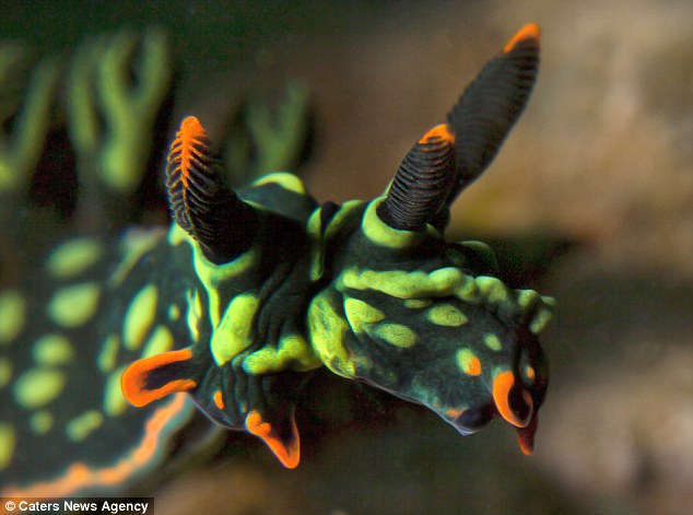 Credit: Caters News Agency