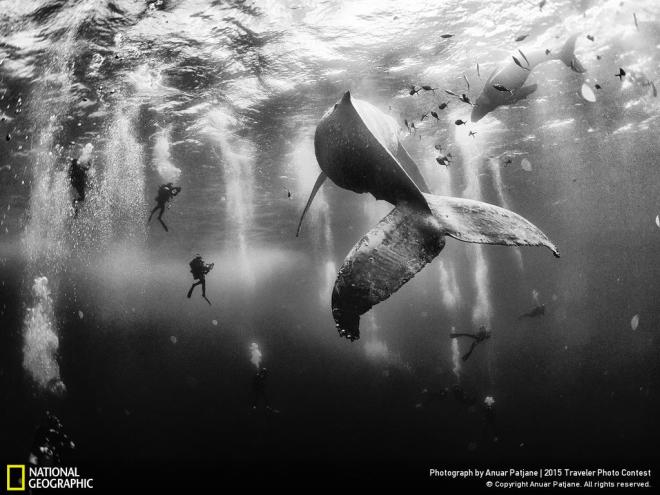 Winner of the 2015 Traveler Photo Contest. Credit: Anuar Patjane