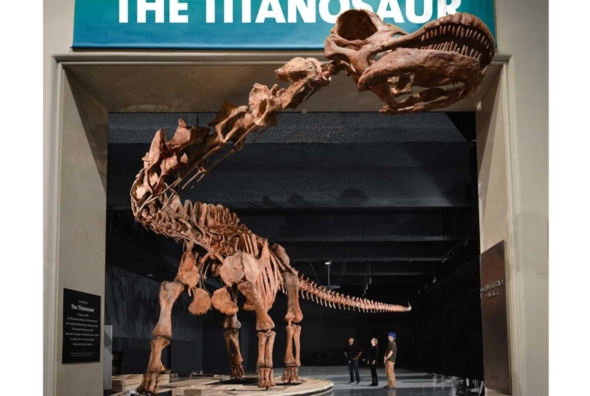 Titanosaur-Dinosaur